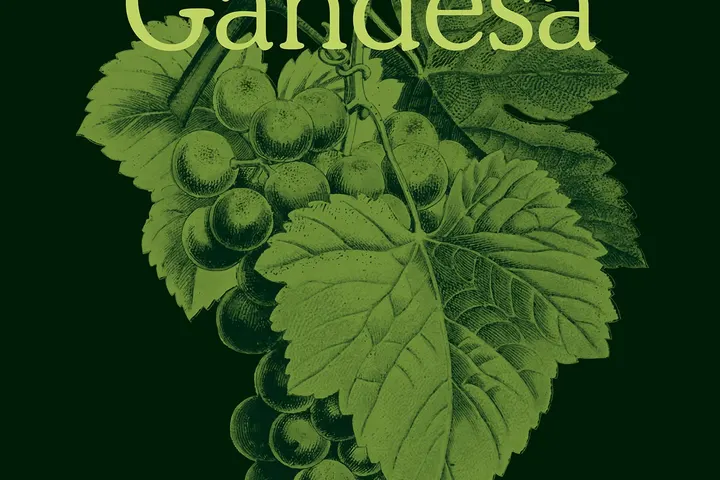 Importada del web anterior — https://festadelvi.cat/wp-content/uploads/2025/10/Cartell-A3_Festa-del-Vi-2025_MIN.jpg