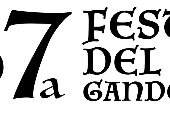 Importada del web anterior — https://festadelvi.cat/wp-content/uploads/2021/09/4.png